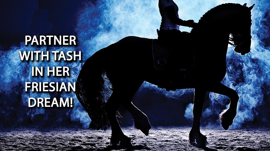 Partner With Tash In Her Friesian Dream! | Come And Join Me On The Journey