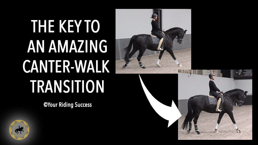 The Key To An Amazing Canter to Walk Transition | Dressage Mastery TV Ep239
