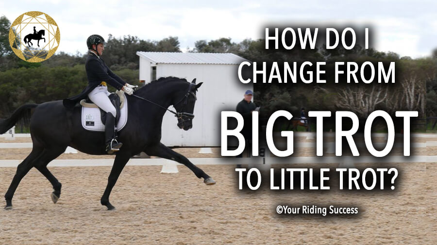 How Do I Change From Big Trot To Little Trot? | Dressage Mastery TV Ep241
