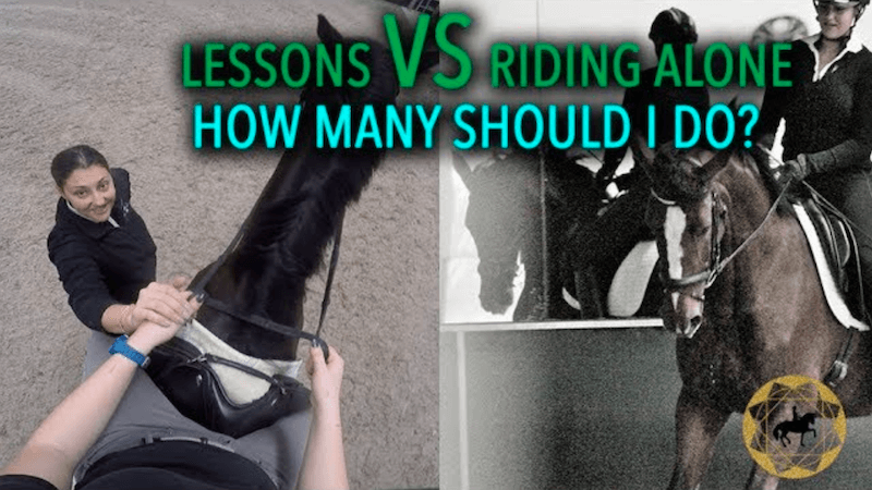 How Many Lessons Versus Own Rides Should I Do Each Week? | Dressage Mastery TV Ep240