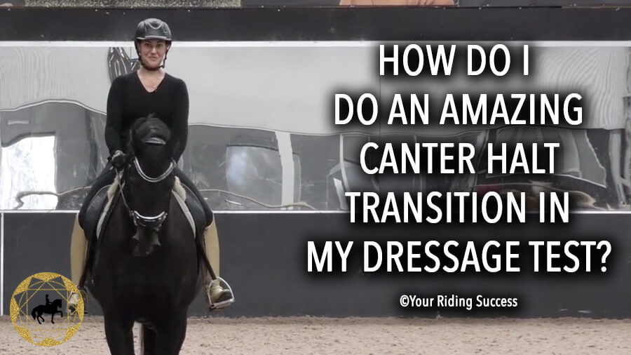How Do I Do An Amazing Canter Halt Transition In My Dressage Test? | Dressage Mastery TV Ep244