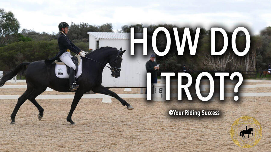 How To Trot A Horse| Dressage Mastery TV Ep245