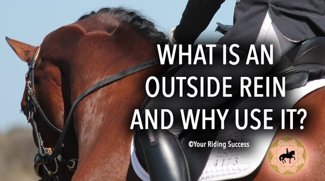What is an Outside Rein and Why Use It? | Dressage Mastery