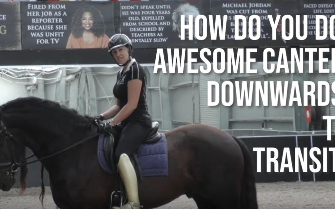 How to Do An Amazing Downwards Transition From Canter to Trot? | Dressage Mastery TV Ep252