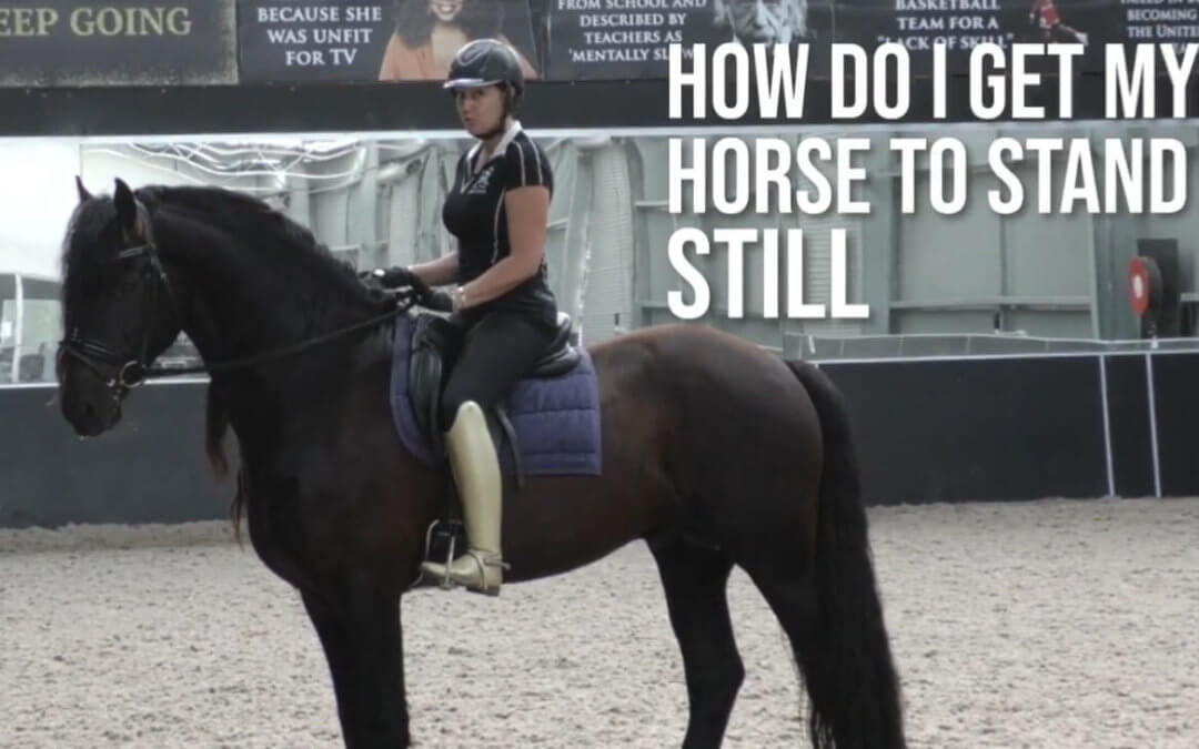 How do I Get My Horse to Stand Still? | Dressage Mastery TV Ep250