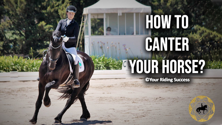 How To Canter Your Horse | Dressage Mastery TV Ep256