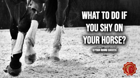 What To Do If You Shy On Your Horse? (FearLESS Friday Ep69)