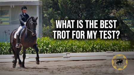 Your Trot Questions Part 2 – What is the best trot for my test? | Dressage Mastery TV Ep275