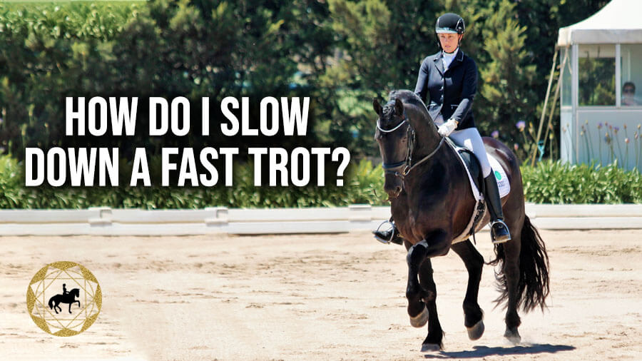Your Trot Questions Part 3 – How do I slow down a fast trot? | Dressage Mastery TV Ep276