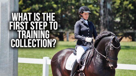 What is the first step to training collection? | (Train With Tash TV 15th August)