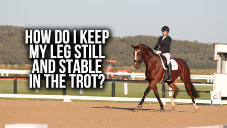 How do I keep my leg still and stable in the trot? | (Train With Tash TV 8th August)