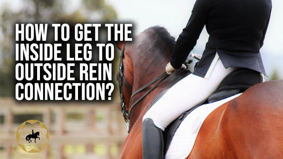 Getting the inside leg to outside rein connection and what should you be working on? | (Dressage Mastery TV Ep 287)