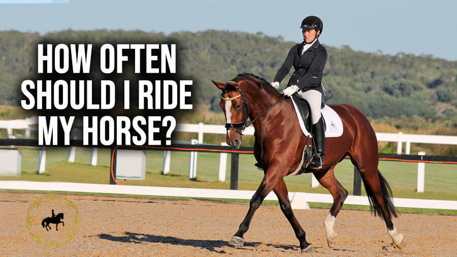 How often should I ride my horse? | (Dressage Mastery TV Ep 286)