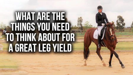 Things you need to think about for a great leg yield? | Train With Tash TV 12th of Sept