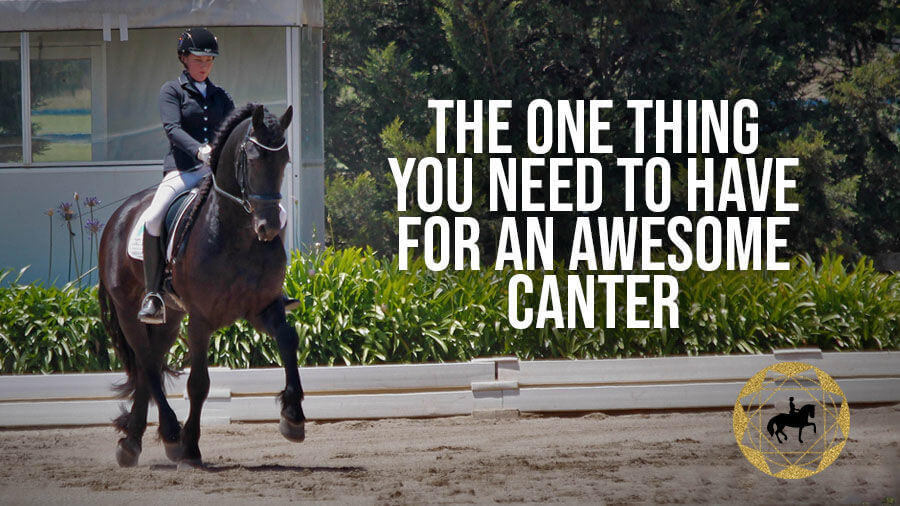 The one thing you need to have for an awesome canter. | Train With Tash TV 5th of Sept