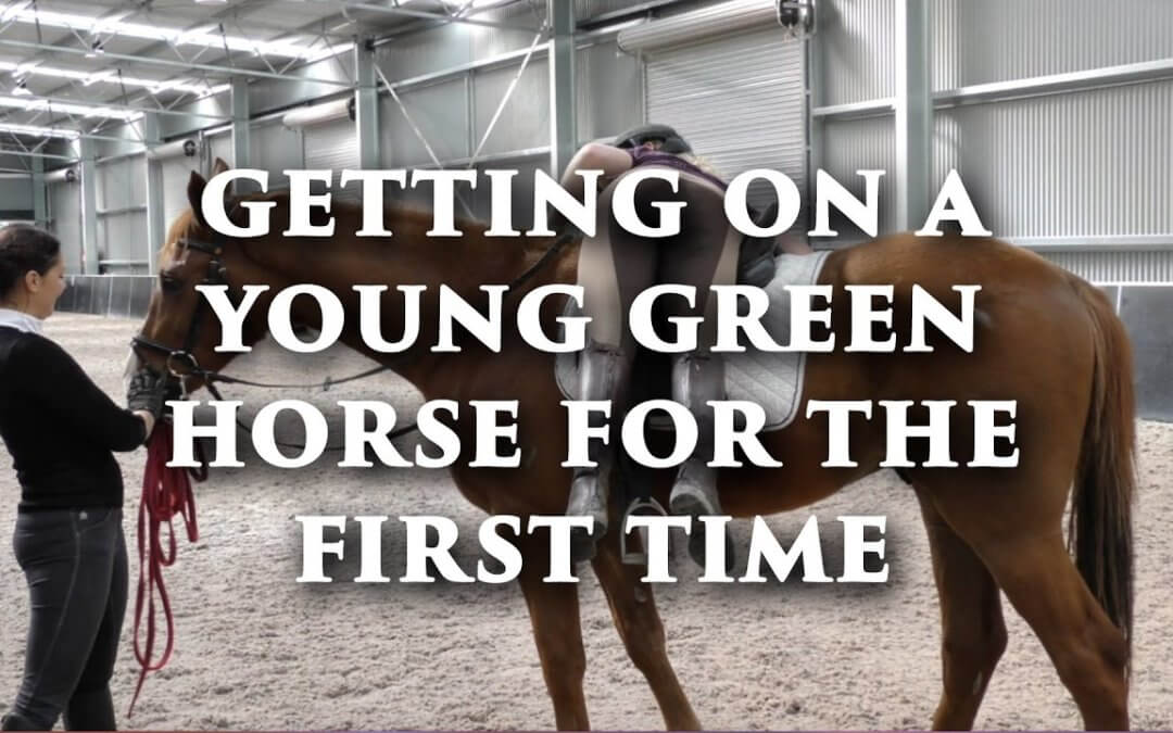 Getting On a Young Green Horse For The First Time| FearLESS Friday Throwback)