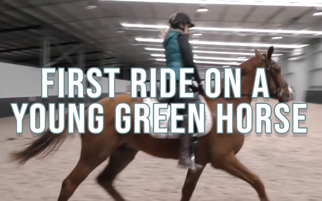 First Ride on a Young Green Horse| FearLESS Friday Throwback)