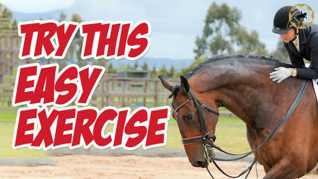 Quick dressage workout for your Horse | Dressage Mastery TV Ep 299