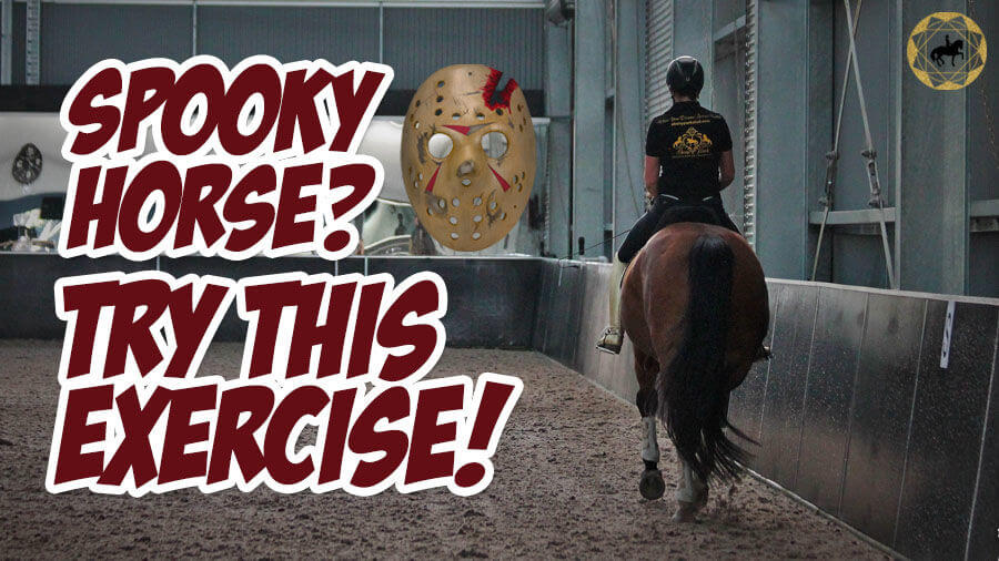 Got a Spooky Horse? Try This Best Exercise – FearLESS Friday Ep82