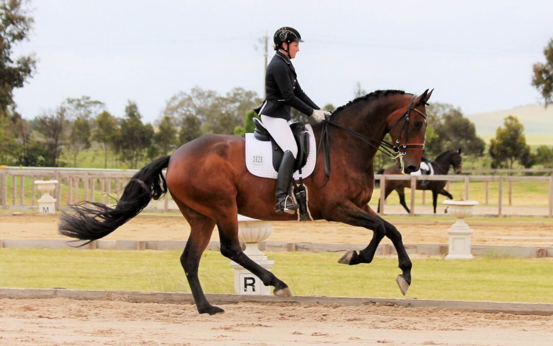 What To Do With Your Hands In Canter