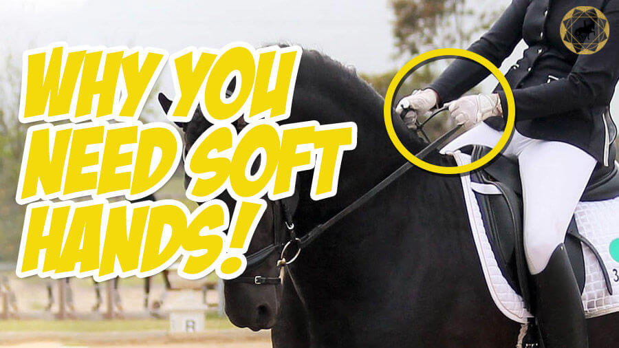 How do you have Soft Hands and Why? | Dressage Mastery TV Ep 304