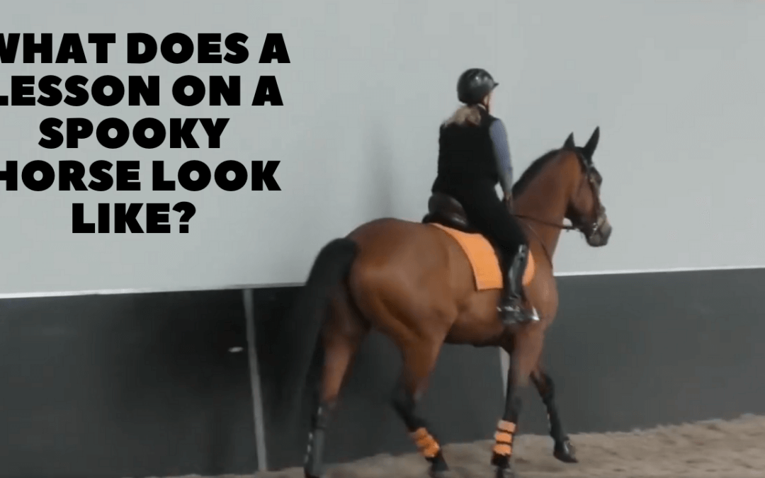 What does lesson on a spooky, green horse look like? | Train with Tash 9th January