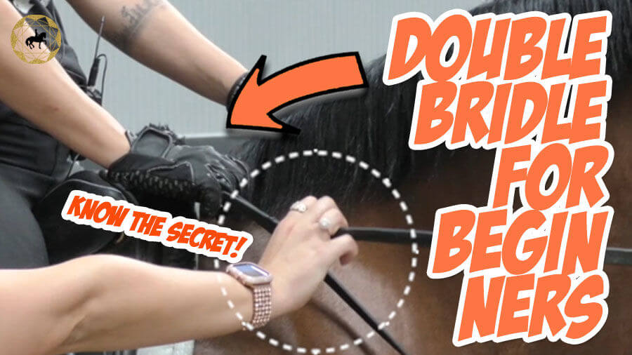 How to correctly hold the double rein | Train with Tash 2nd of January