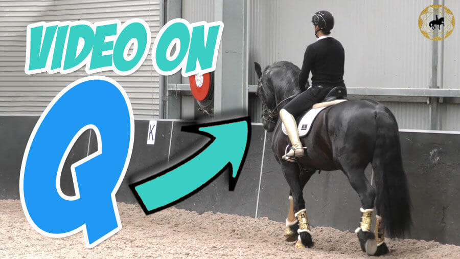 What does a Full Training Session look like on a Young Horse? | Dressage Mastery TV Ep 301