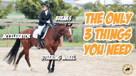 What Are The 3 Things You Need To Test When Getting On A Horse For The Very First Time? | Dressage Mastery TV Ep 311