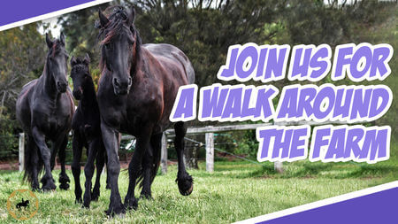 Meet The Horses & Walk Around The Farm| Dressage Mastery TV Ep 314