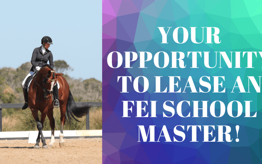 Who Wants To Lease An FEI Schoolmaster In the UK?| Weekly Wrap Up