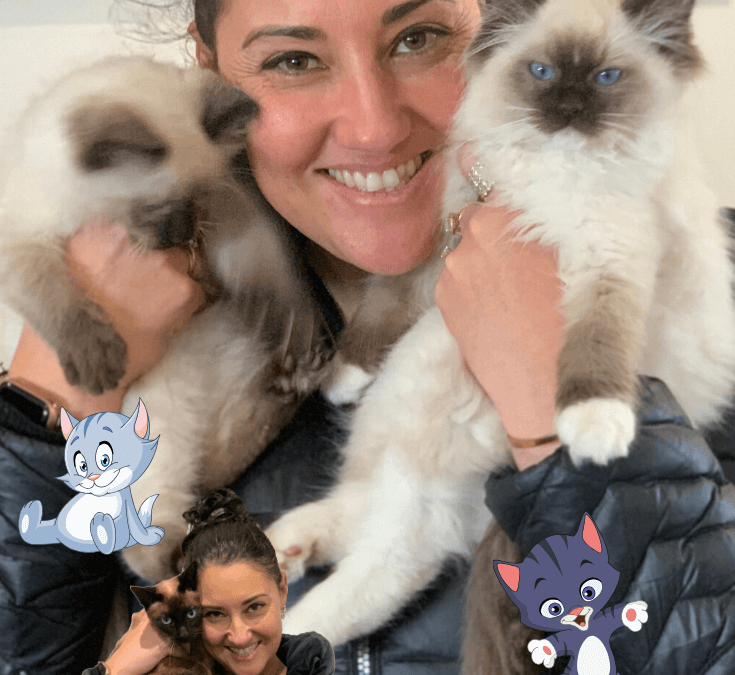 Meet the Kittens – Gaston and Snowy!