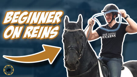 Holding reins for the first time (but still on the lunge)| Dressage Mastery Episode 325