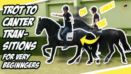 Trot to Canter Transitions For Very Beginner Riders| Dressage Mastery Episode 322