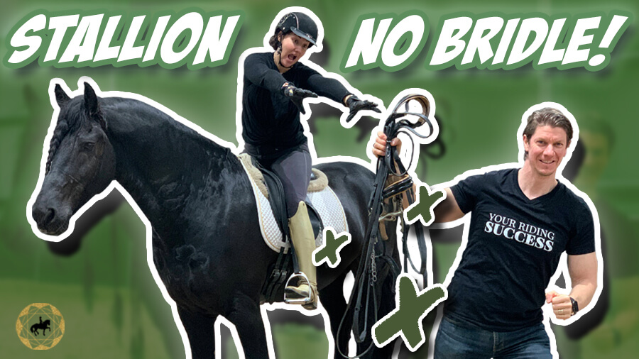 First Time Riding a Stallion with no bridle| Dressage Mastery Episode 324