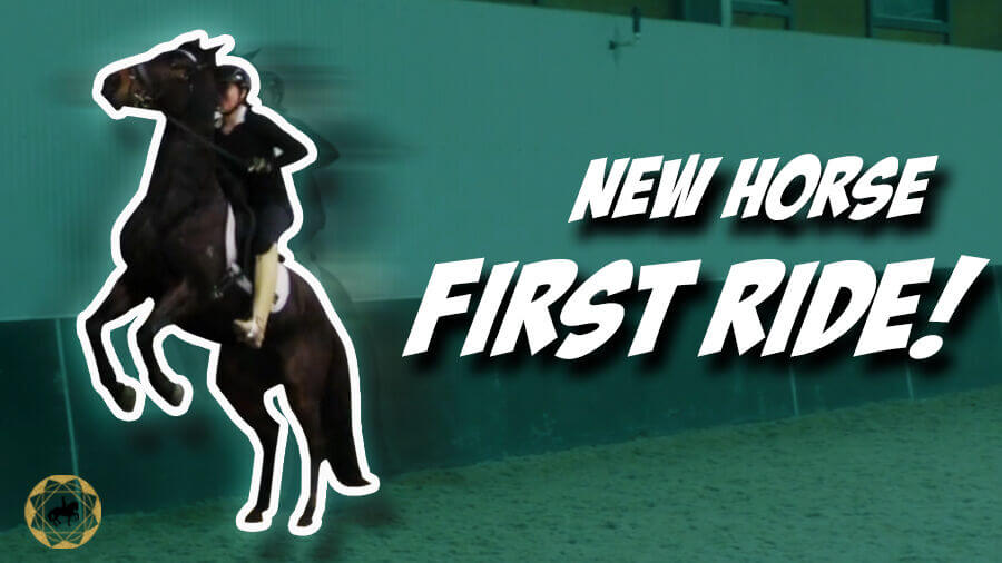 I Can’t Believe This Happened! – OTTB Series Ep6