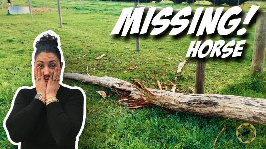 She’s Missing! – OTTB Series Ep8