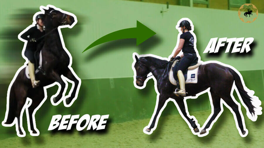 This Is Taking LONGER Than I Thought! – OTTB Series Ep7
