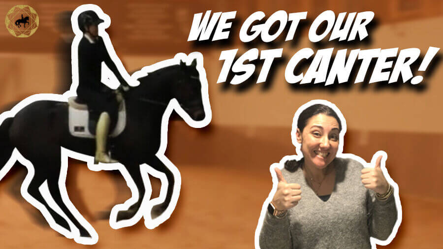 FIRST TIME Cantering on this horse! – OTTB Series Ep9