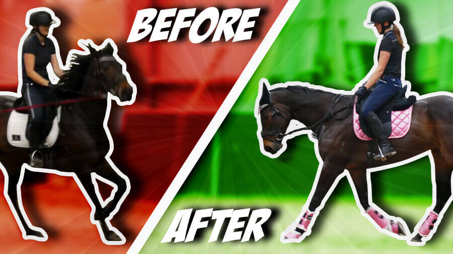 Can you believe this is 3 days later? (Thoroughbred Transformation) – OTTB Series Ep13