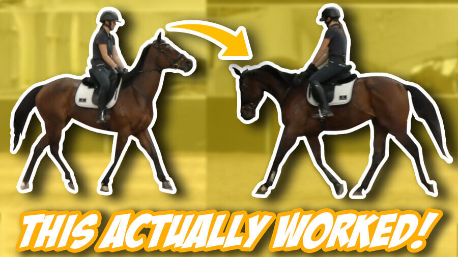 I CAN’T BELIEVE THIS HORSE RIDING TIP WORKED! (Thoroughbred Transformation) – OTTB Series Ep14