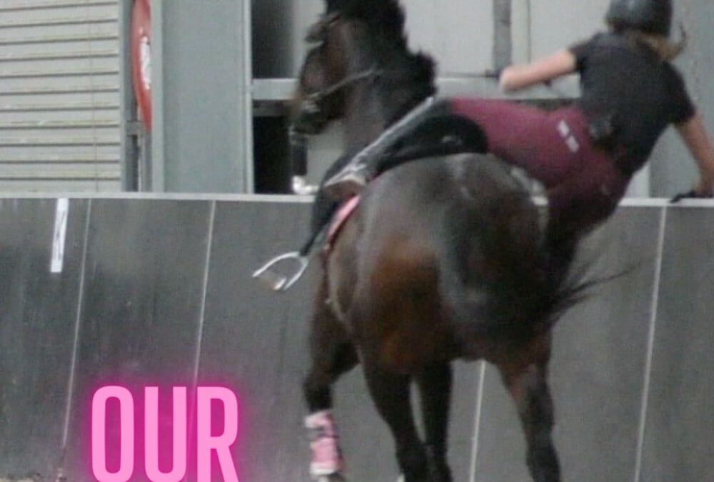 OUR FIRST FALL OFF the new horse (Thoroughbred Transformation) – OTTB Series Ep15