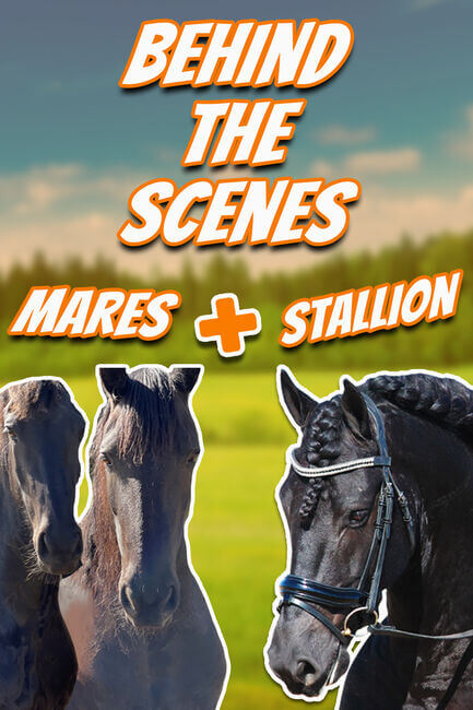 WE ARE MAKING BABIES! – Part 1 (Horse Breeding) Animal Breeding – Horse Transformation