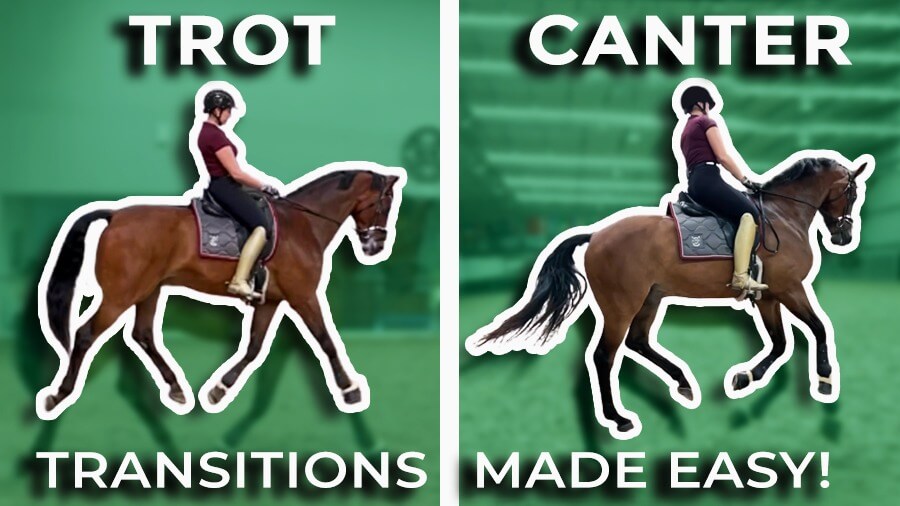 This Works!!! HOW TO RIDE TROT-CANTER-TROT TRANSITIONS? | Dressage Mastery TV Episode 331