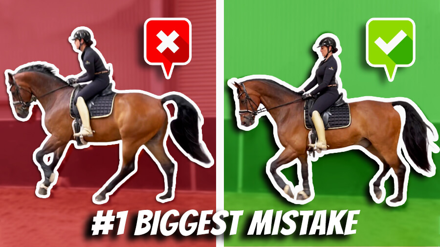 Are You Making This Mistake With Your Seat? – DMA TV Ep 330