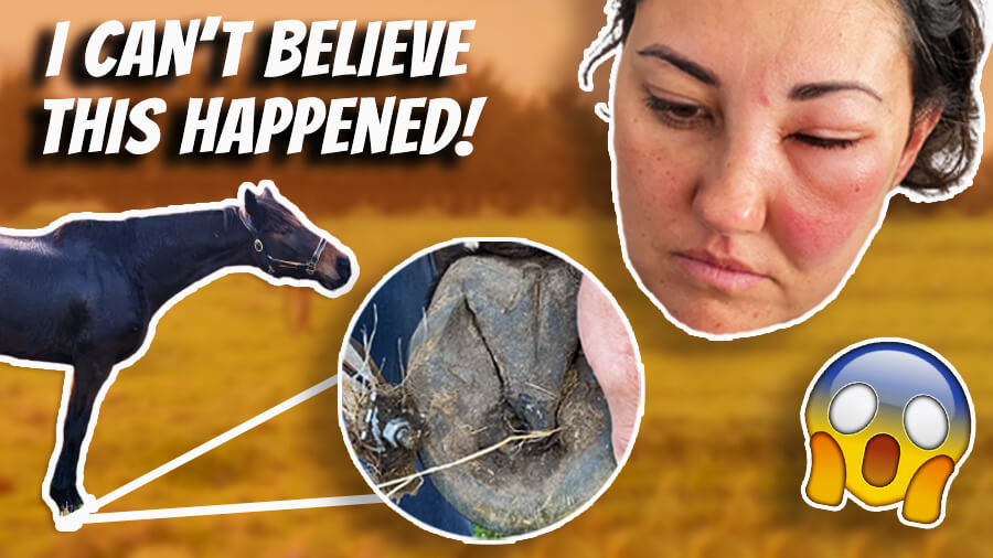 (OTTB’s Are Back For 2021) Your Riding Success | Horse Riding Lessons