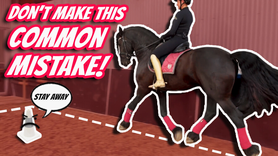 Try This Cool Tip In Your Next Ride (How To Get 5% More In Your Dressage Test) | Dressage Mastery TV Episode 332
