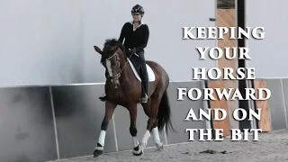 Throwback Thursday: How Do I Keep My Horse Forward & On The Bit?
