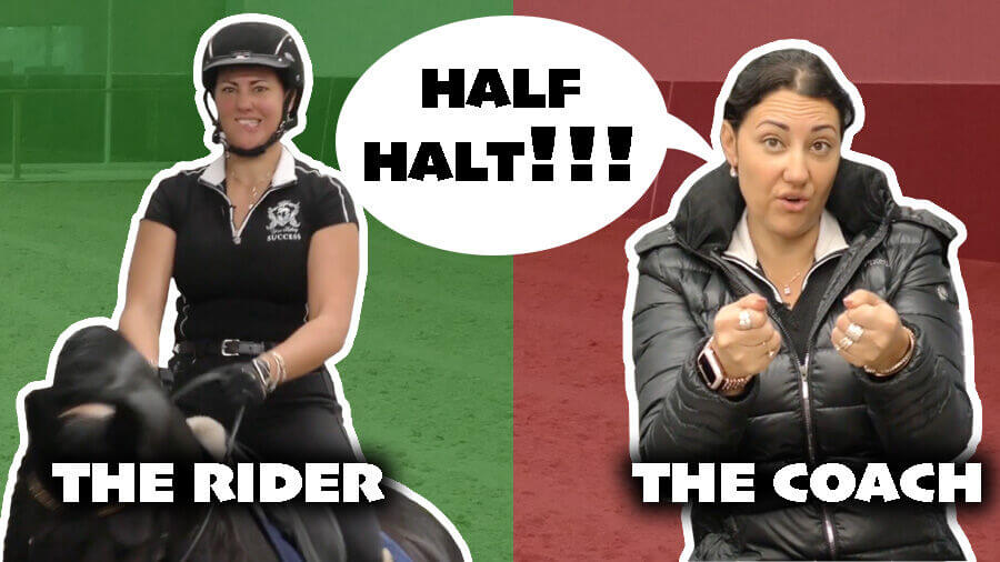 Have You Ever Felt Like This In Your Horse Riding? (Half Halts!!!!!!) Horse Riding Lessons