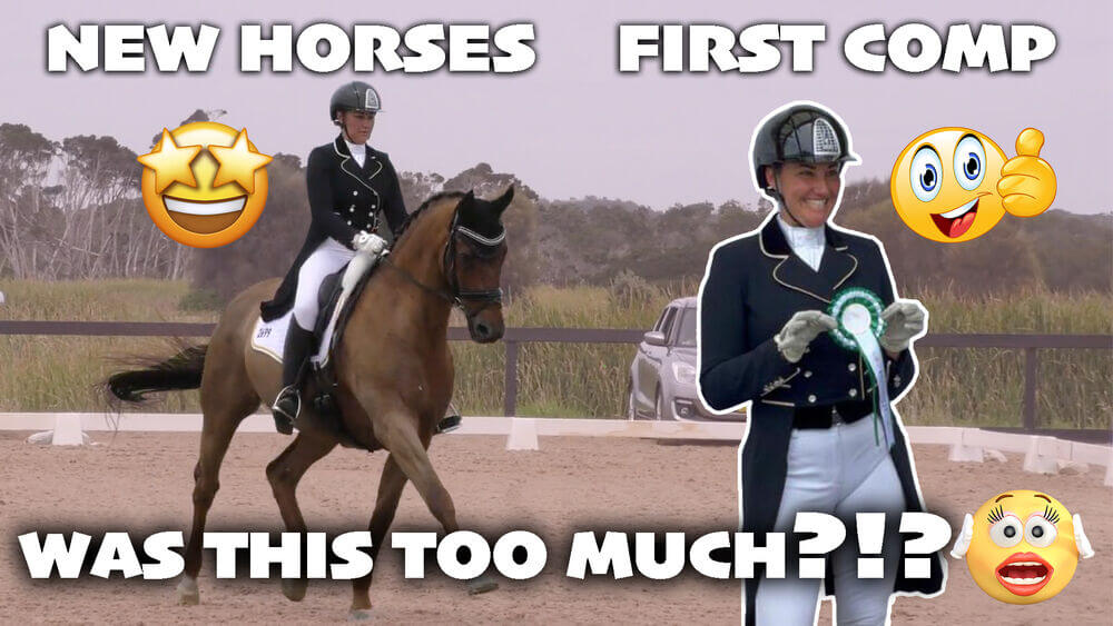 New Horses, First Competition – Was This Too Much? (Behind The Scenes At A Dressage Competition)